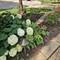1417 Sherwood, Geneva, IL 60134
