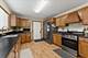704 Helene, Shorewood, IL 60404