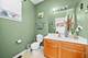615 Silver Leaf, Joliet, IL 60431