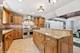 6001 Wolf, La Grange Highlands, IL 60525