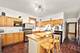 1621 N Tripp, Chicago, IL 60639