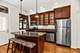 1707 N Crilly Unit 1E, Chicago, IL 60614