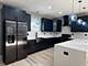 4348 W Thomas, Chicago, IL 60651