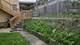 511 W 25th, Chicago, IL 60616