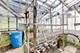 7120 W Berwyn, Chicago, IL 60656