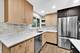 519 S Springinsguth, Schaumburg, IL 60193