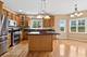 12804 Stellar, Plainfield, IL 60585