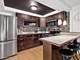 901 S 8th Unit 11, La Grange, IL 60525