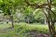 226 Bays, Tower Lakes, IL 60010