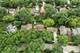 805 Redwood, Bartlett, IL 60103