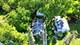 38393 N Lakeside, Antioch, IL 60002