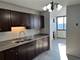 4850 S Lake Park Unit 1707, Chicago, IL 60615