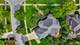 3707 Junebreeze, Naperville, IL 60564
