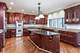 9660 Pacific, Burr Ridge, IL 60527