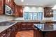 9660 Pacific, Burr Ridge, IL 60527