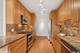 1100 N Lake Shore Unit 11B, Chicago, IL 60611