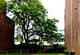 3721 N Wolcott, Chicago, IL 60613