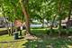 503 N River, Fox River Grove, IL 60021