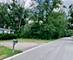 1068 N Coolidge, Palatine, IL 60067