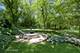 3926 Glendenning, Downers Grove, IL 60515