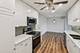 1025 Randolph Unit 307, Oak Park, IL 60302