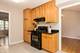 1008 N Newberry, Mount Prospect, IL 60056