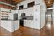 1243 S Wabash Unit 302, Chicago, IL 60605