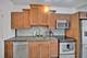 5056 N Marine Unit 7B, Chicago, IL 60640