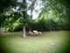 15702 W 151st, Homer Glen, IL 60491