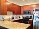 1464 S Michigan Unit 1507, Chicago, IL 60605