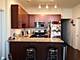 1464 S Michigan Unit 1507, Chicago, IL 60605