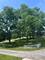 1505 N Windsor Unit 206, Arlington Heights, IL 60004