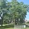 1505 N Windsor Unit 206, Arlington Heights, IL 60004