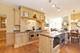 8100 S County Line, Burr Ridge, IL 60527