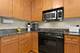 125 N Euclid Unit 305, Oak Park, IL 60301