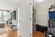 125 N Euclid Unit 305, Oak Park, IL 60301