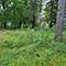 25570 W High, Wauconda, IL 60084