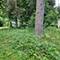 25570 W High, Wauconda, IL 60084