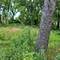 25570 W High, Wauconda, IL 60084