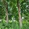 25570 W High, Wauconda, IL 60084