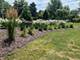 17754 Bernard Unit 2C, Orland Park, IL 60467