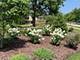 17754 Bernard Unit 2C, Orland Park, IL 60467