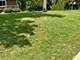37 E Cambridge, Oak Brook, IL 60523