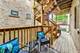 1442 W Carmen Unit 1, Chicago, IL 60640