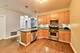 1442 W Carmen Unit 1, Chicago, IL 60640