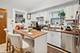 3633 W Oakdale, Chicago, IL 60618