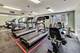 2020 Chestnut Unit 410, Glenview, IL 60025