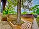 551 E 149, Harvey, IL 60426