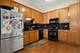 5036 W Pensacola Unit 302, Chicago, IL 60630