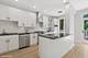 1407 S Plymouth, Chicago, IL 60605